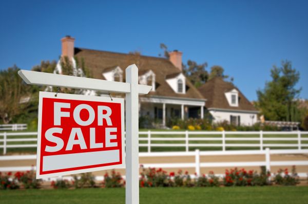 Rochester Real Estate