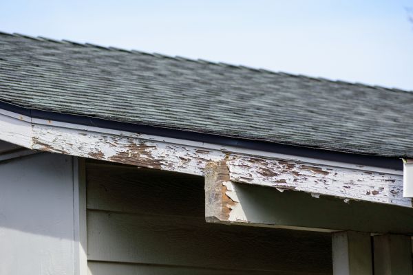 Rochester Wood Rot Repair