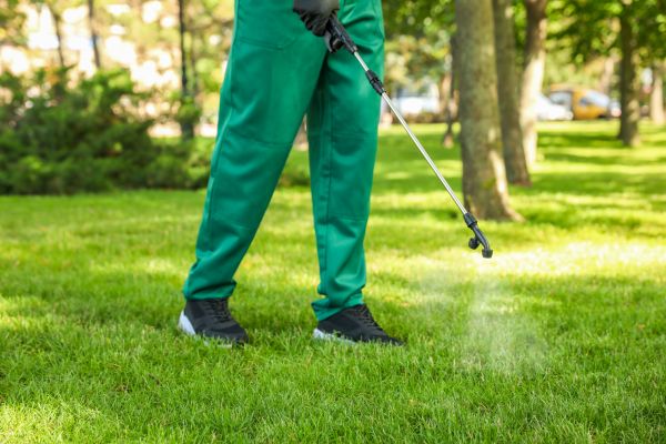 Rochester Lawn Treatment