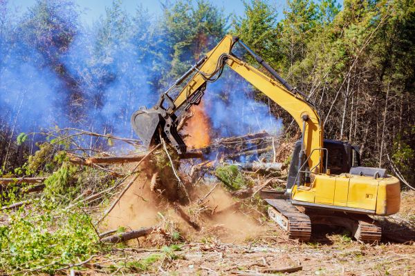 Rochester Land Clearing