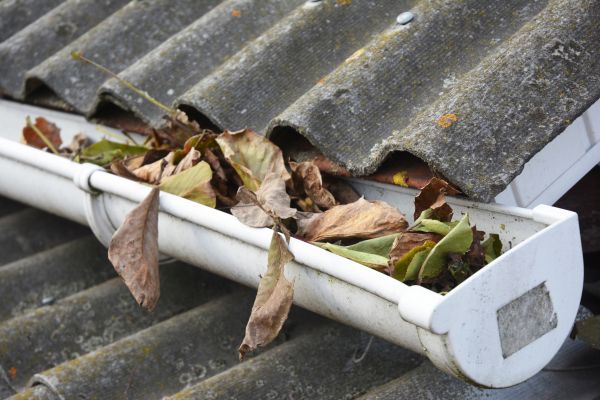 Rochester Gutter Cleaning